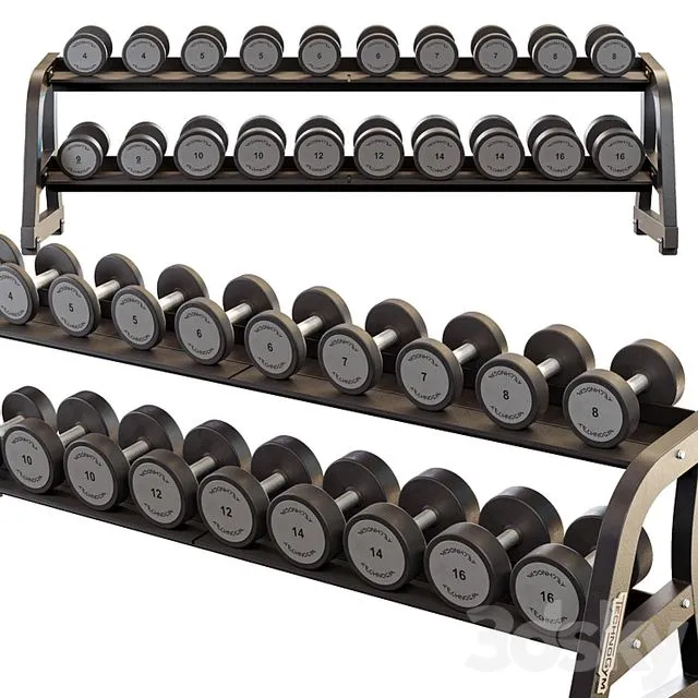 Technogym Two Tier Dumbbell Rack 3D Model