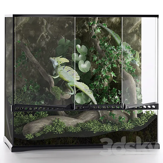 Terrarium Basilisk 3D Model