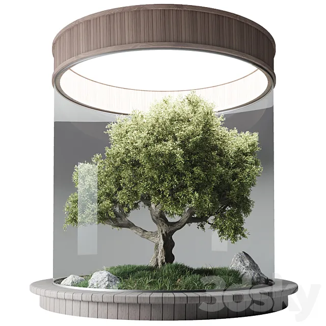 Terrarium №3 3D Model