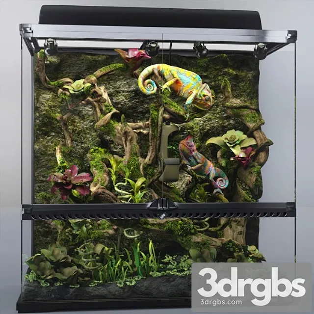 Terrarium exo-terra with chameleons 3D Model Free