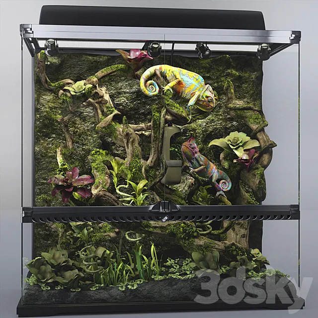 Terrarium Exo-terra with chameleons 3D Model