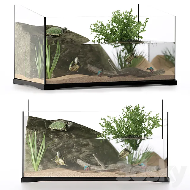 Terrarium for turtles 3DModel
