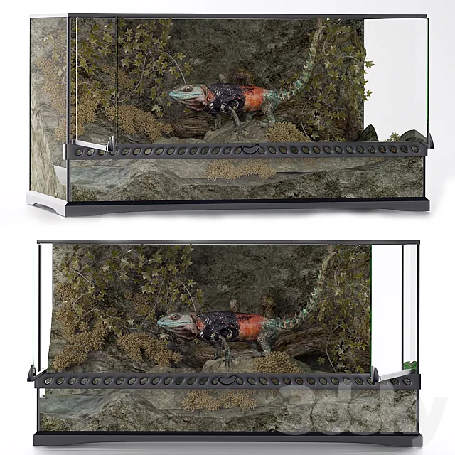 Terrarium iguana 3D Model