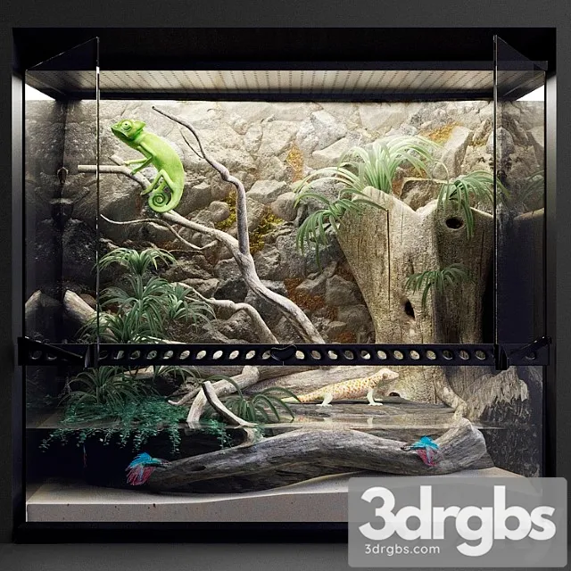 Terrarium_2 3D Model Free
