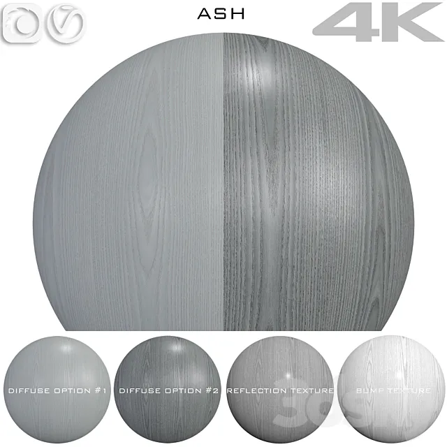 Texture Ash №1 3D Model