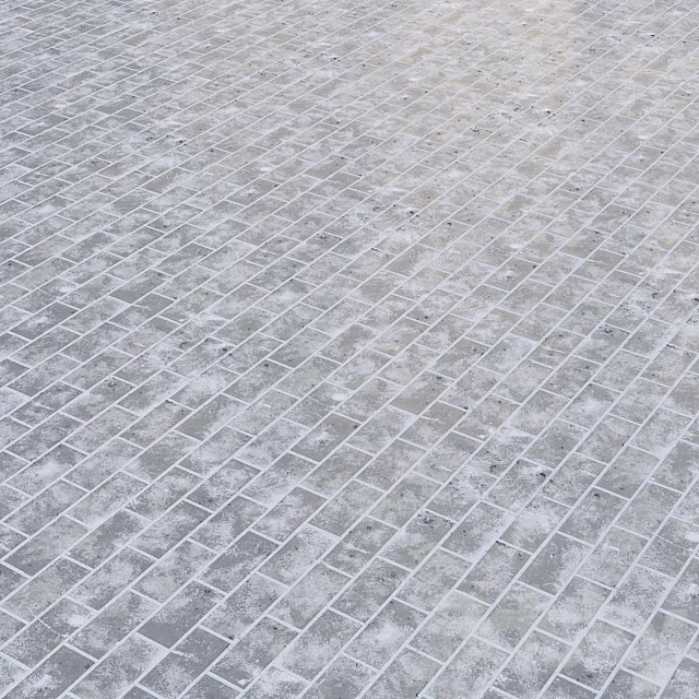 Texture of snow-covered paving stones 3D Model