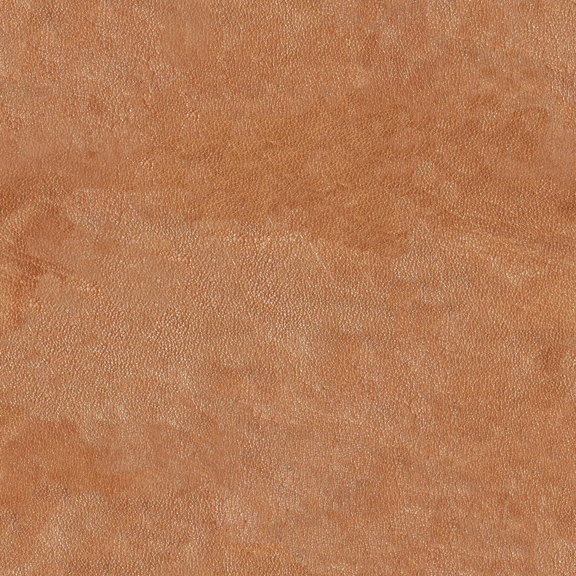 textures - Leather 16 3D Model