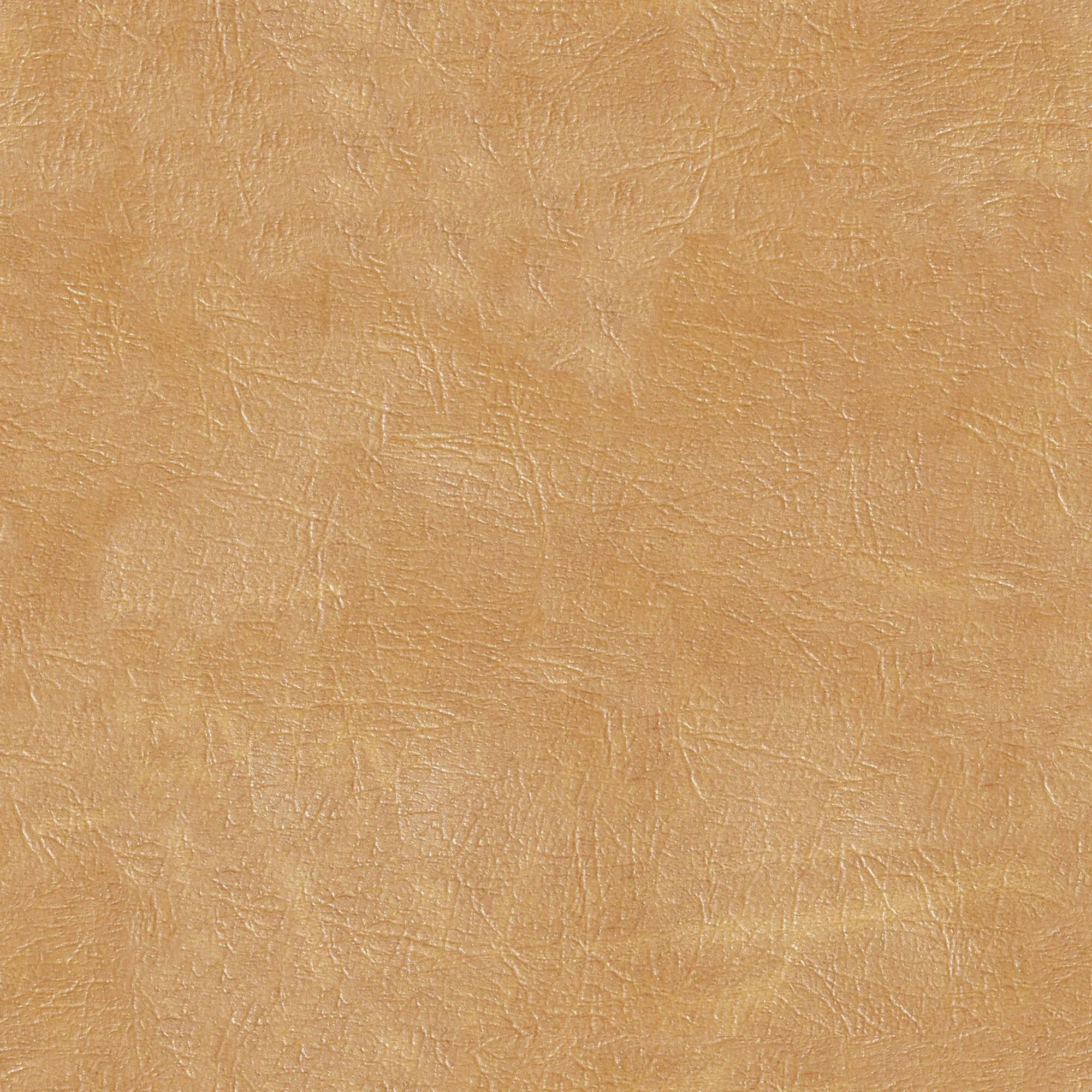 textures - Leather 21 3D Model