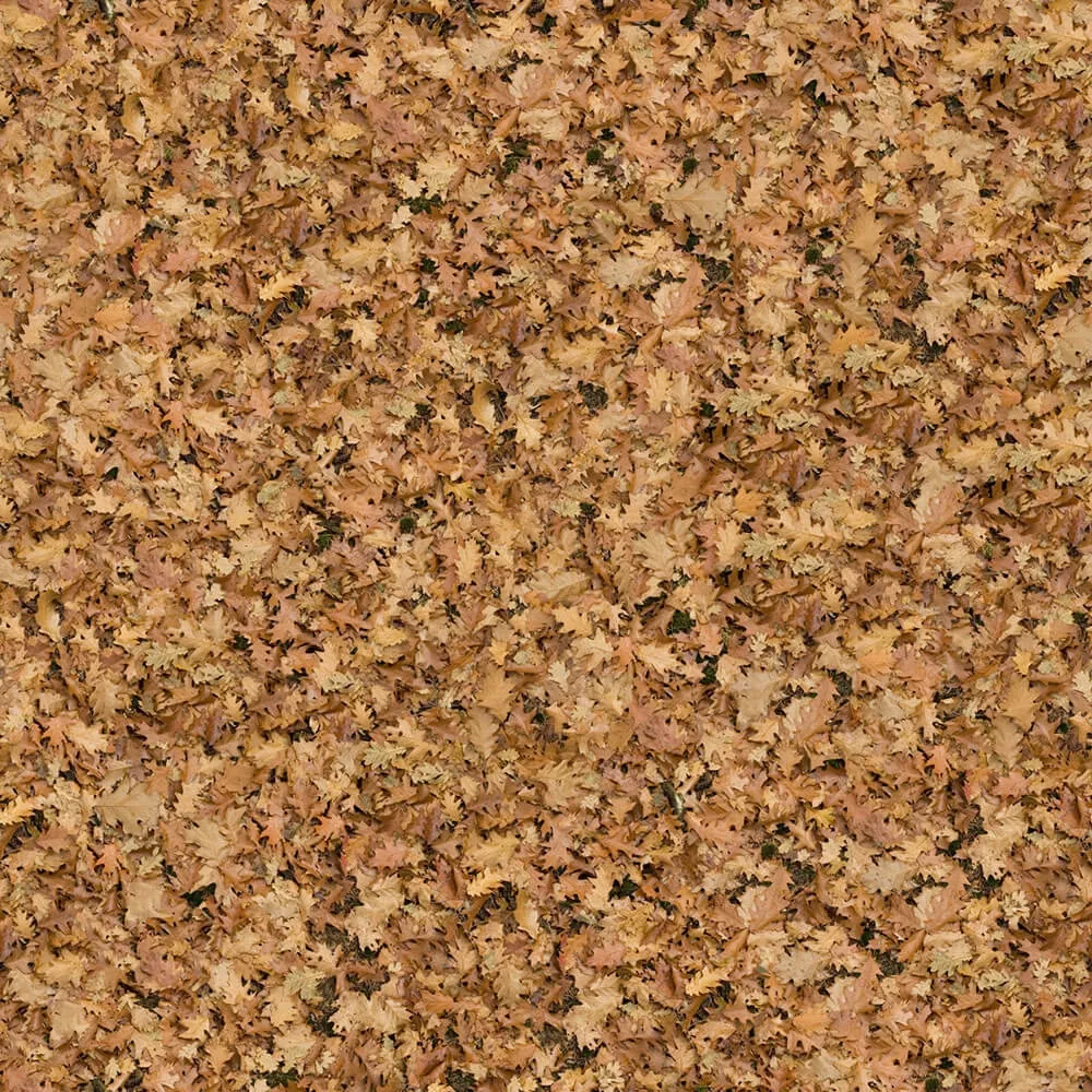 textures - Organic 1 3D Model