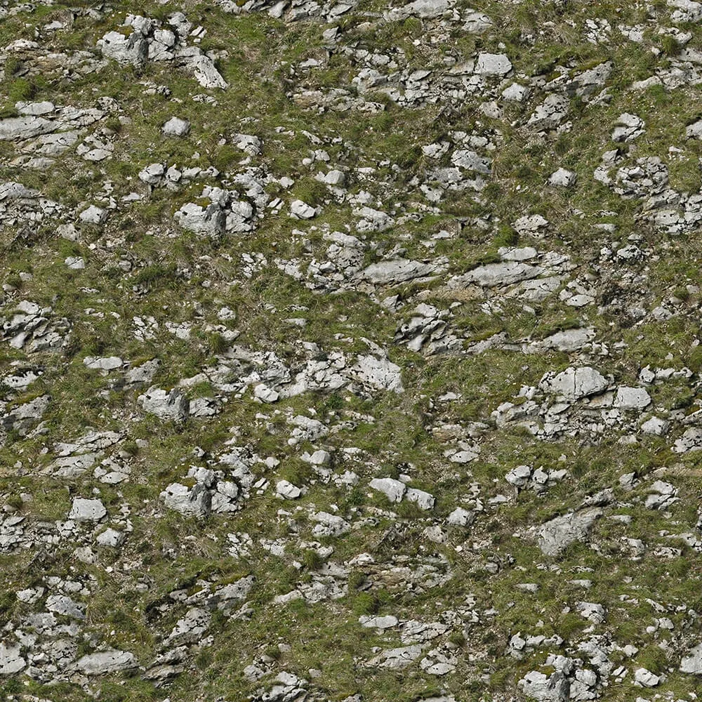 textures - Organic 11 3D Model