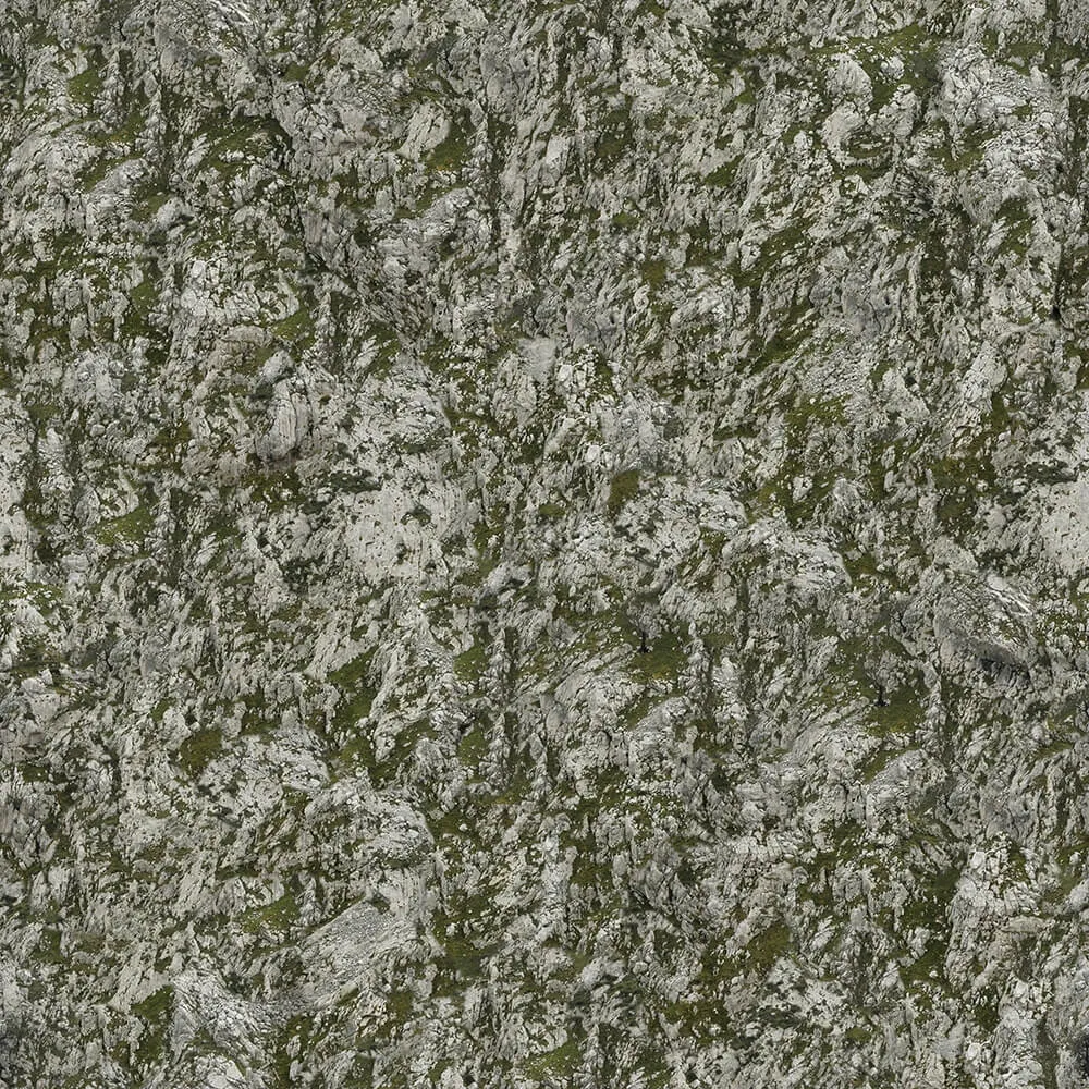 textures - Organic 12 3D Model