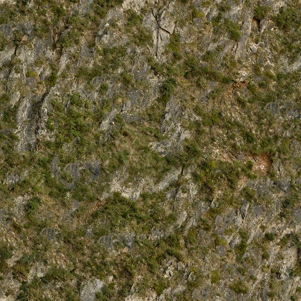 textures - Organic 13 3D Model