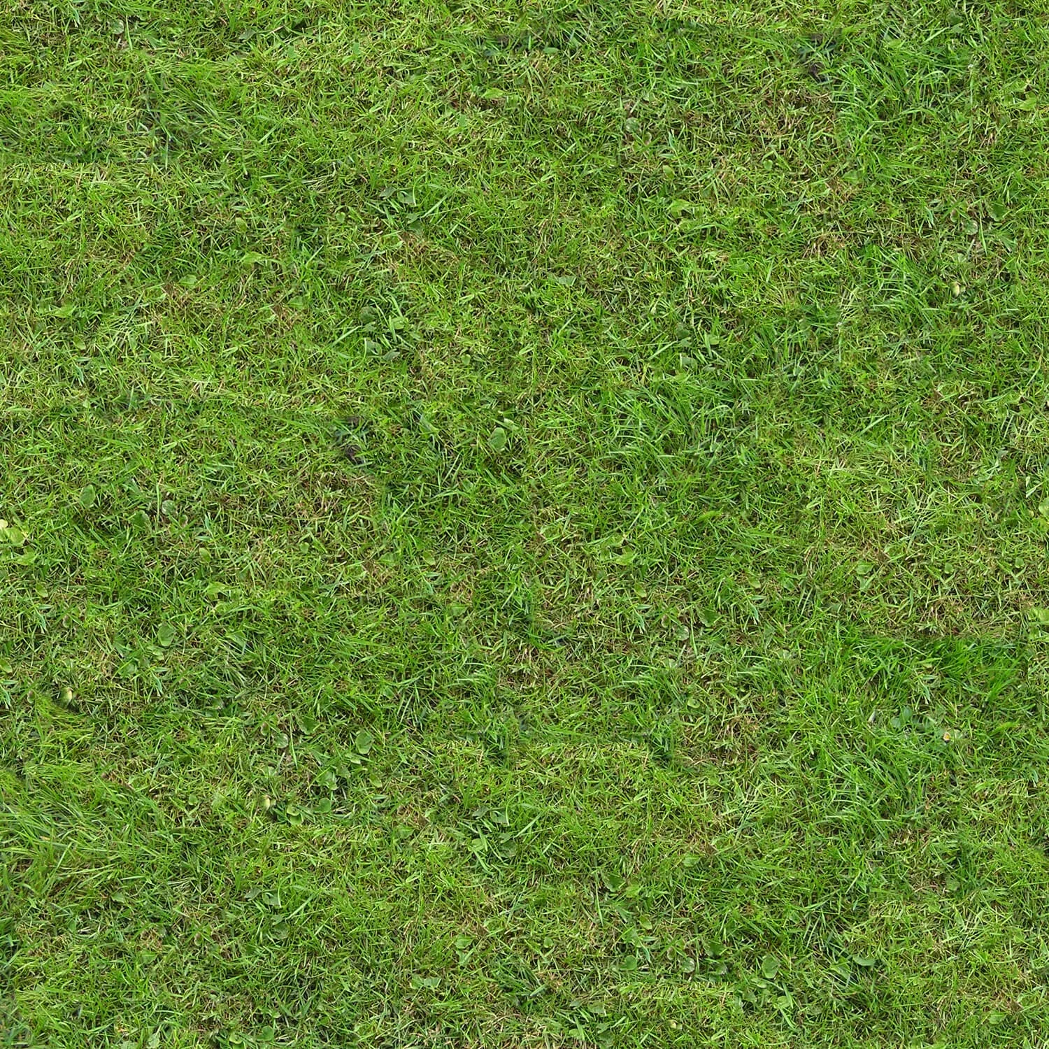 textures - Organic 14 3D Model