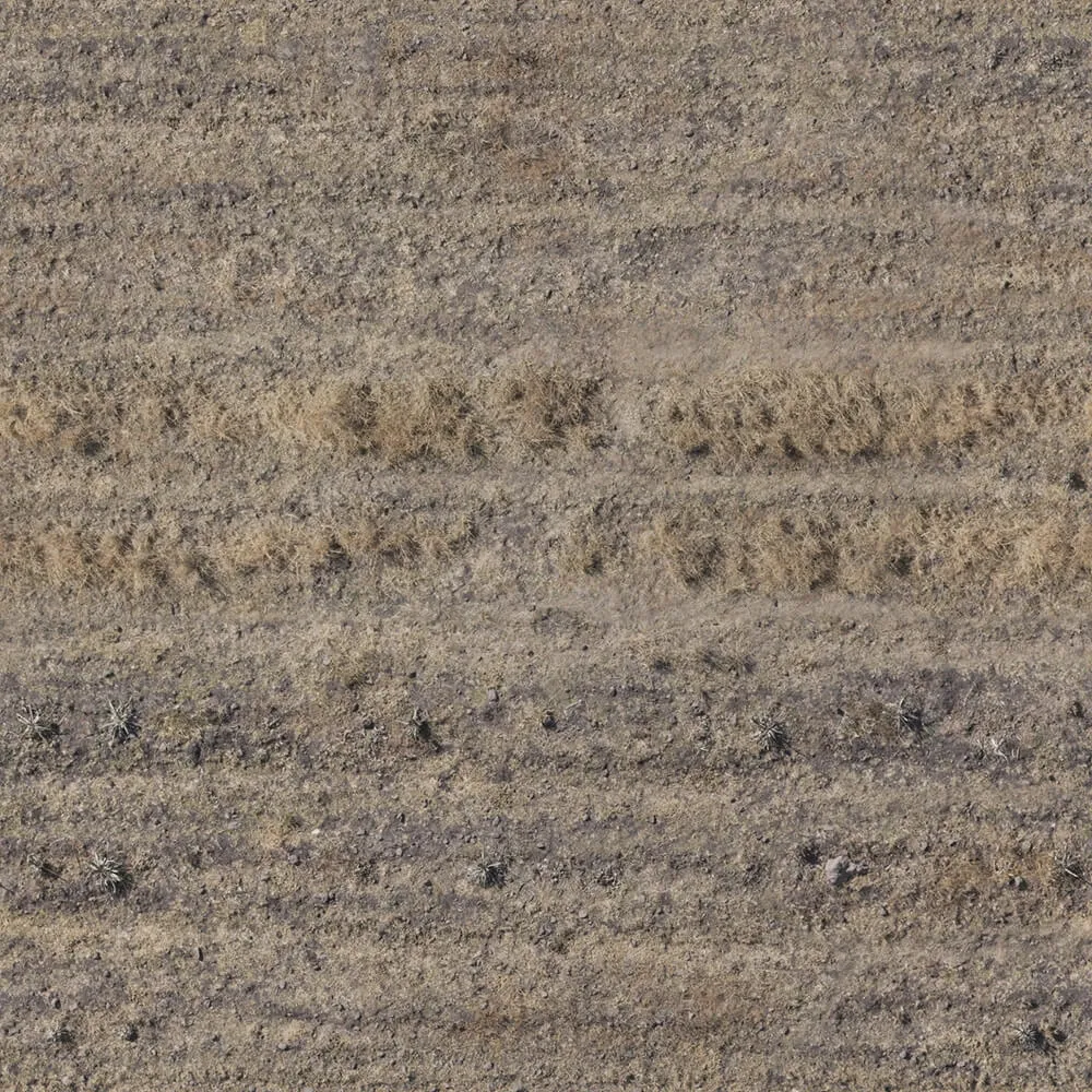 textures - Organic 20 3D Model