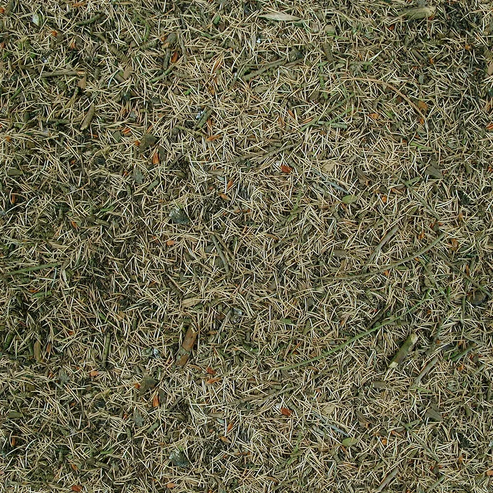 textures - Organic 21 3D Model