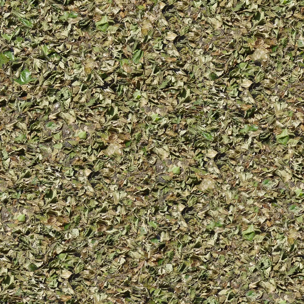 textures - Organic 22 3D Model