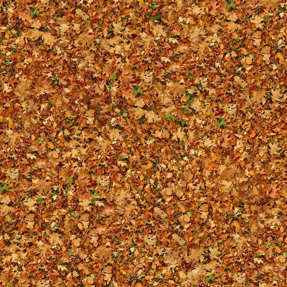 textures - Organic 23 3D Model