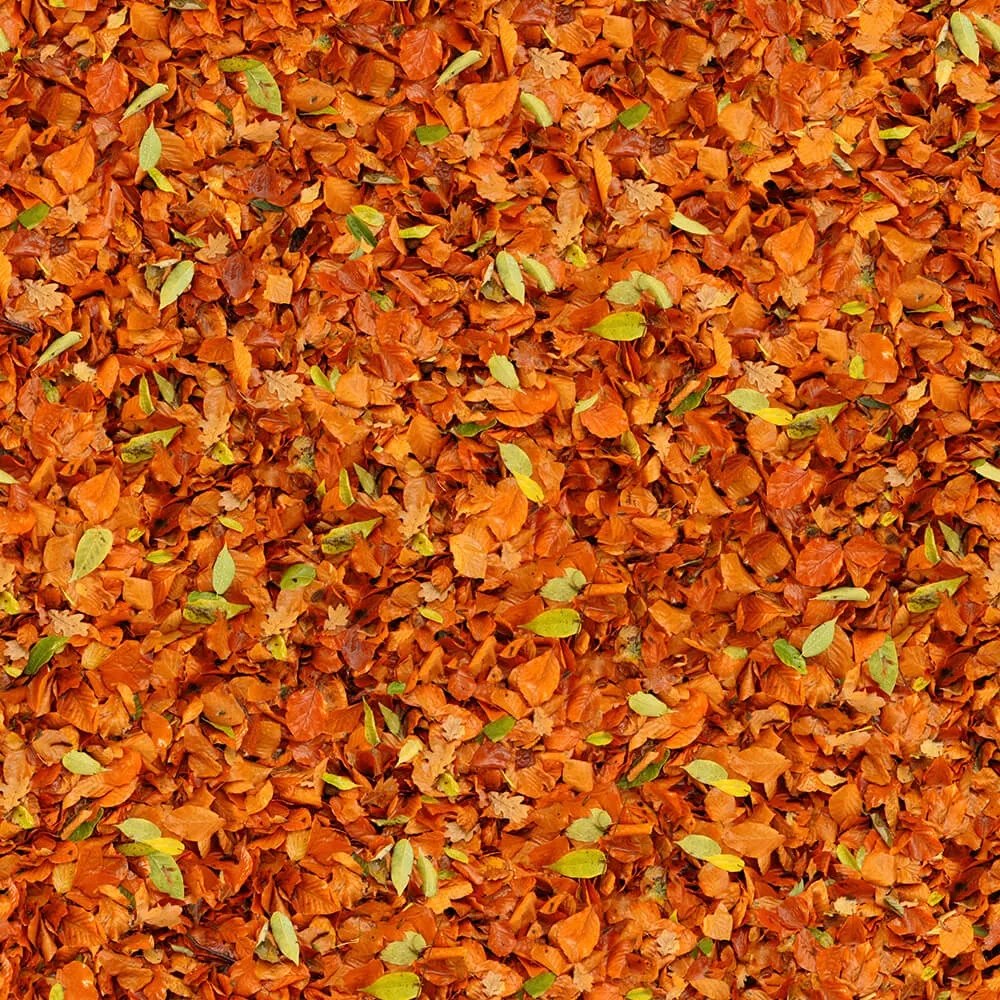 textures - Organic 25 3D Model