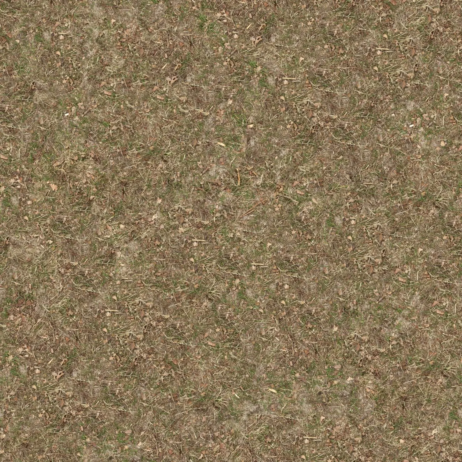 textures - Organic 26 3D Model