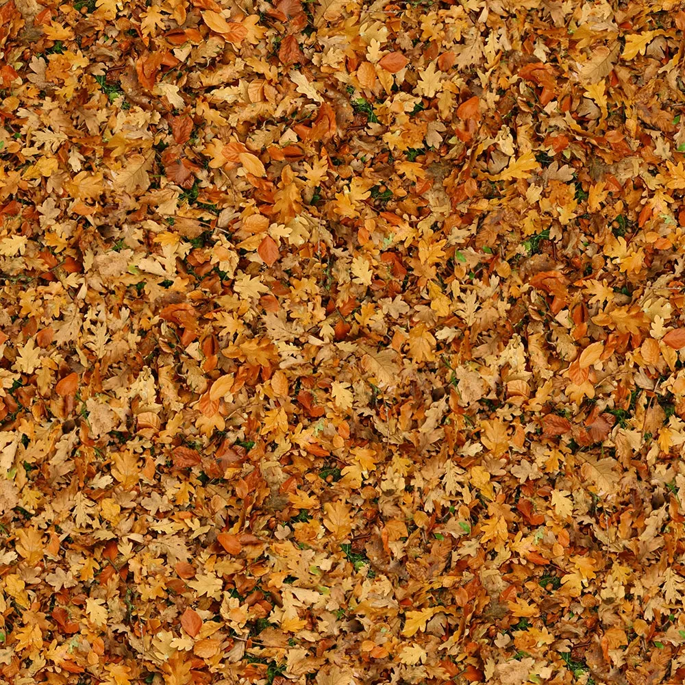 textures - Organic 28 3D Model