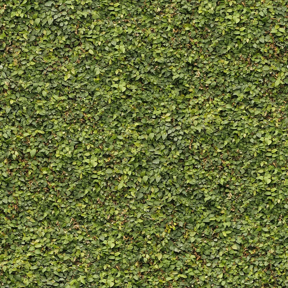 textures - Organic 31 3D Model