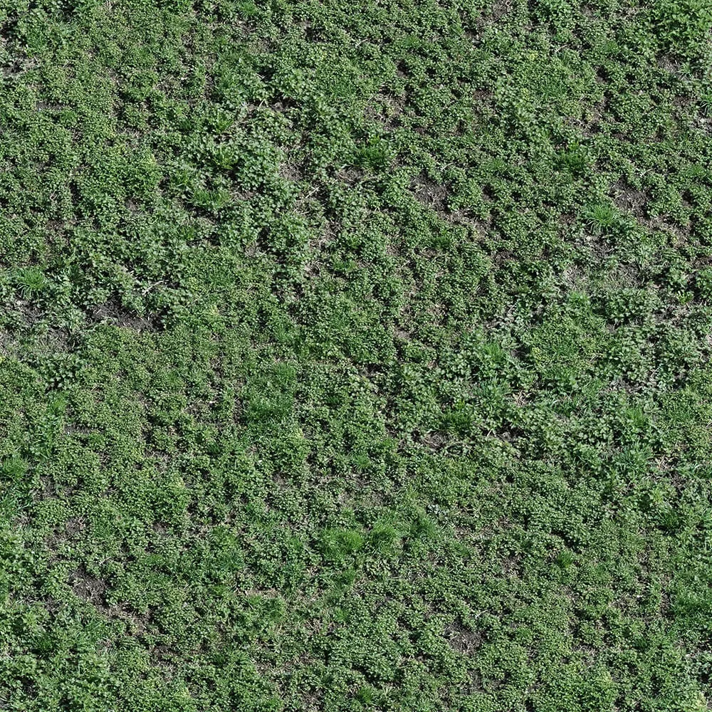 textures - Organic 34 3D Model