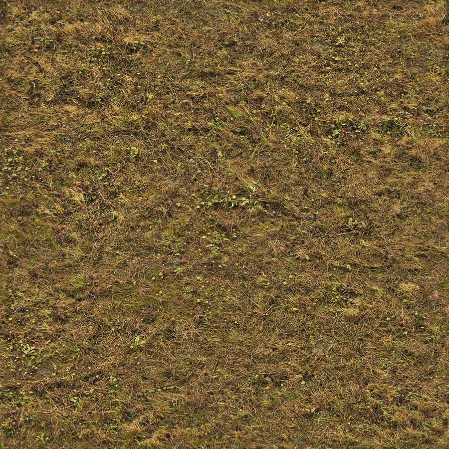 textures - Organic 37 3D Model