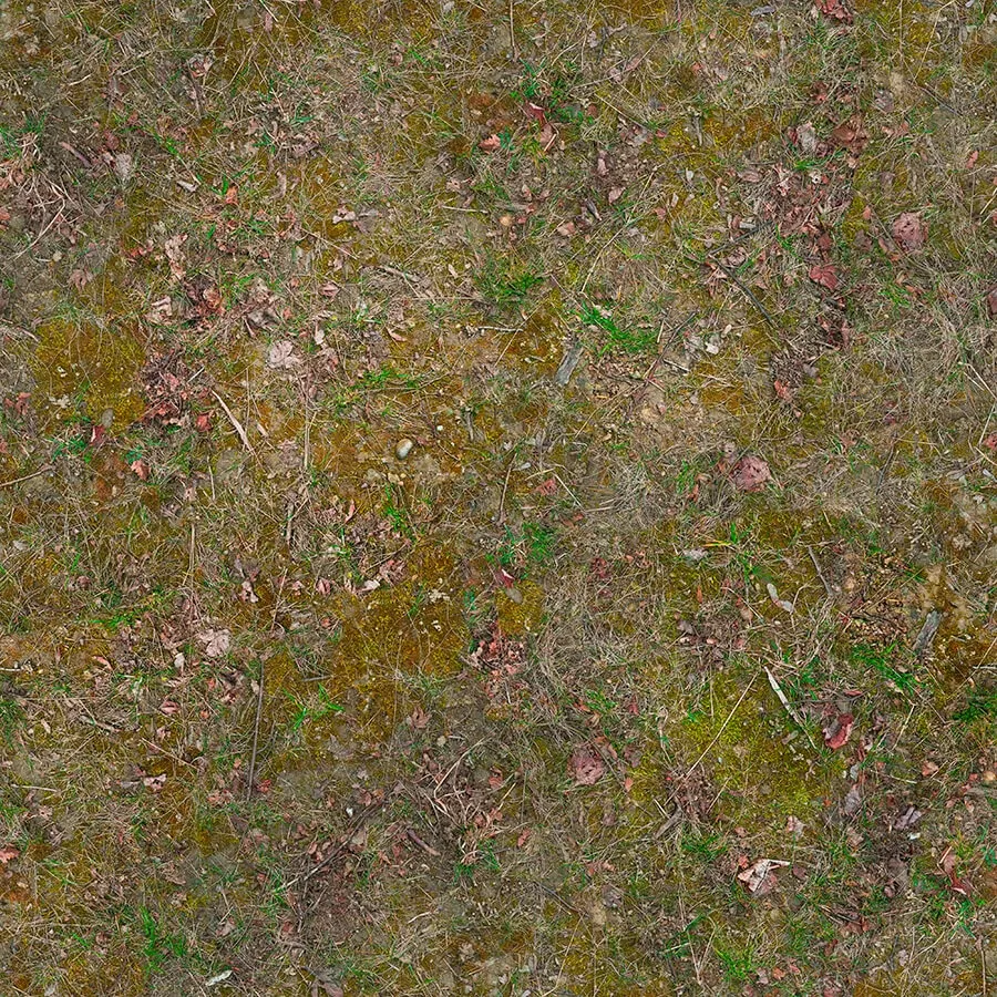 textures - Organic 39 3D Model