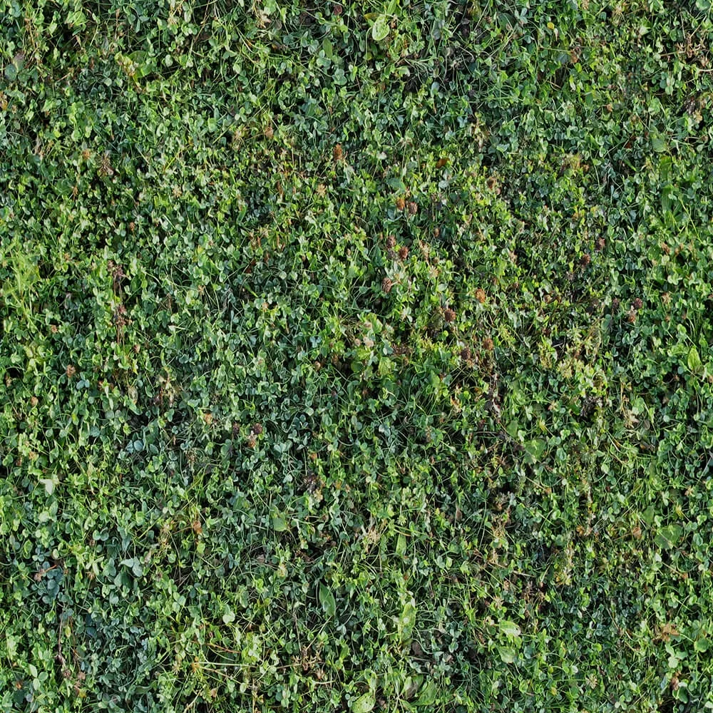 textures - Organic 4 3D Model