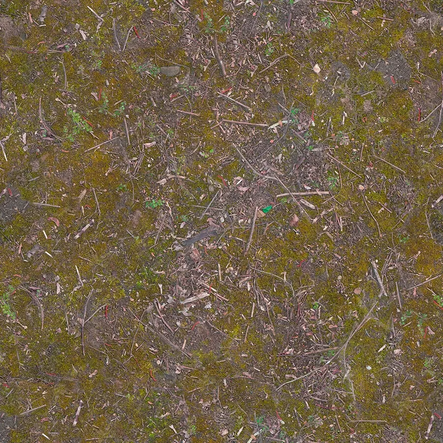 textures - Organic 40 3D Model