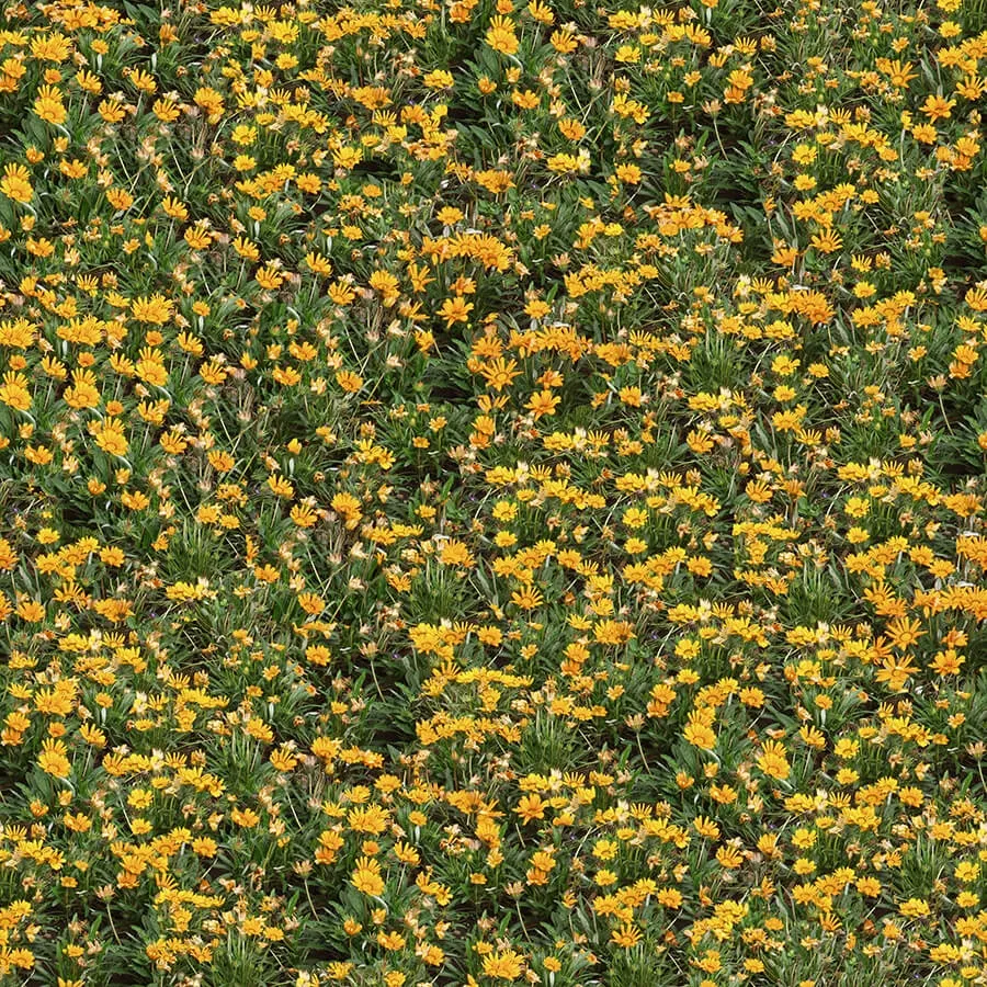 textures - Organic 43 3D Model