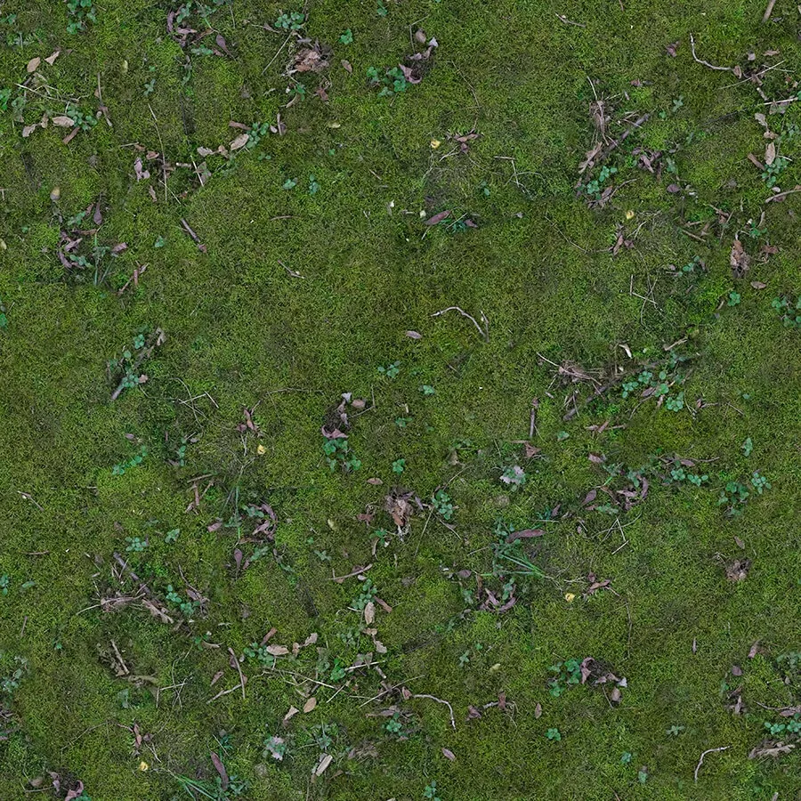 textures - Organic 48 3D Model