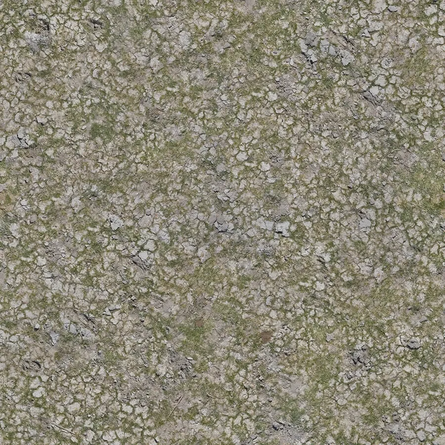 textures - Organic 50 3D Model