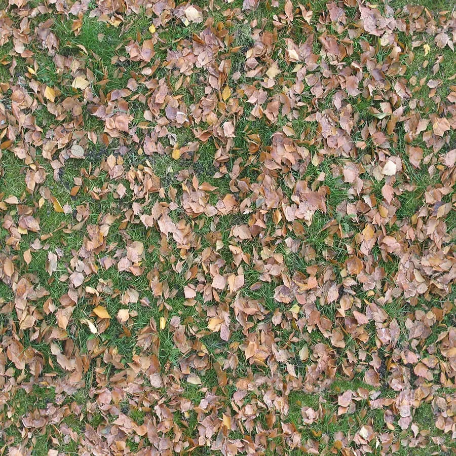 textures - Organic 52 3D Model