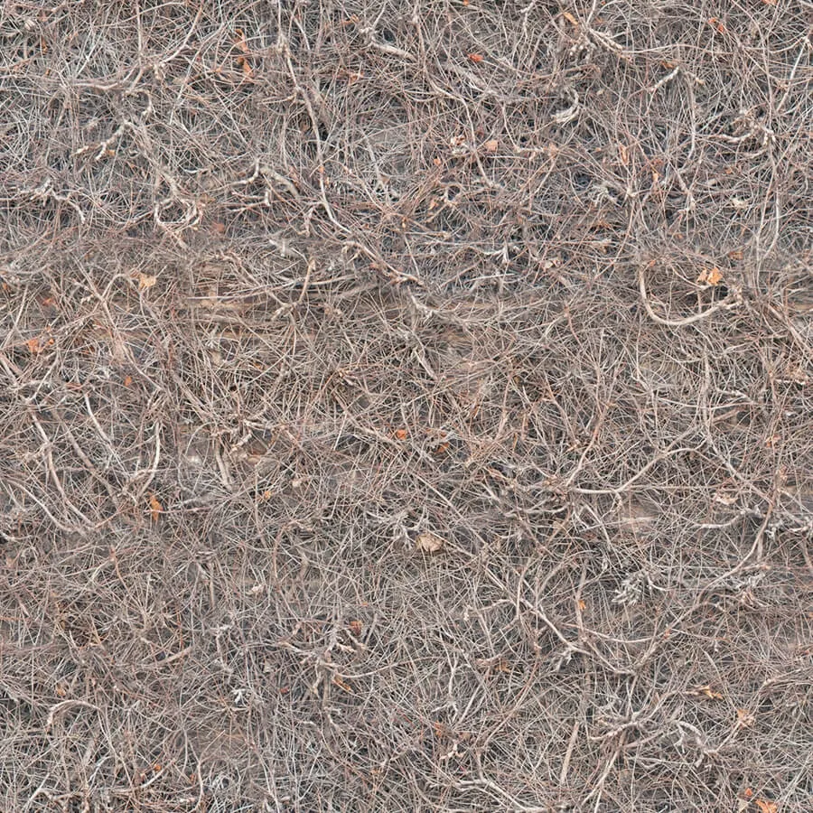 textures - Organic 53 3D Model