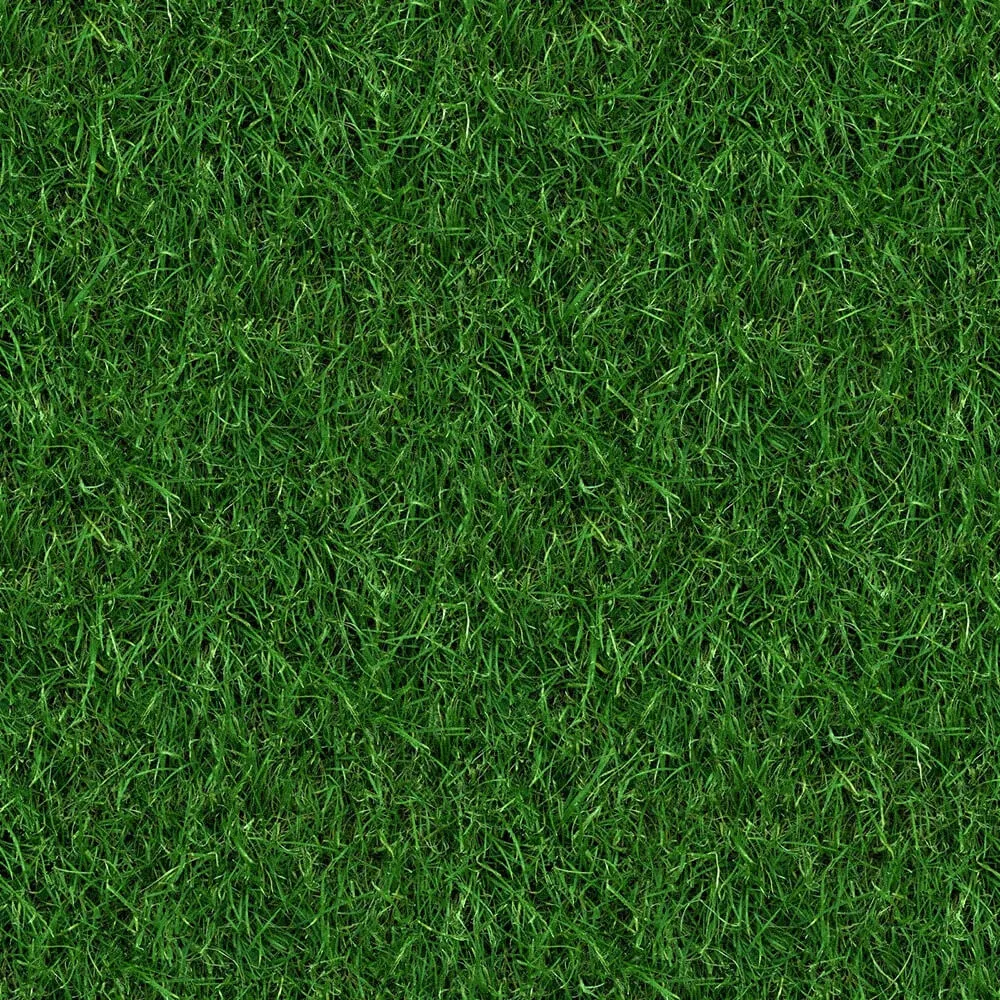 textures - Organic 59 3D Model