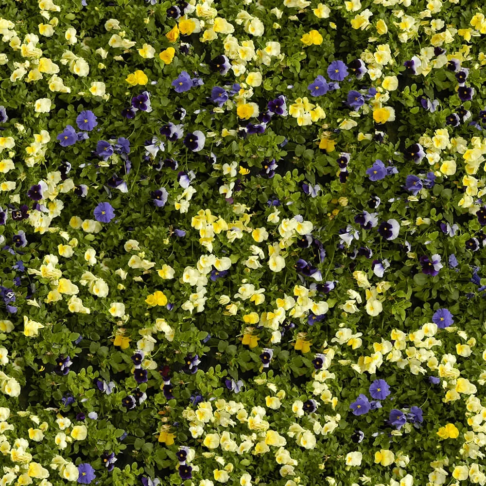 textures - Organic 8 3D Model