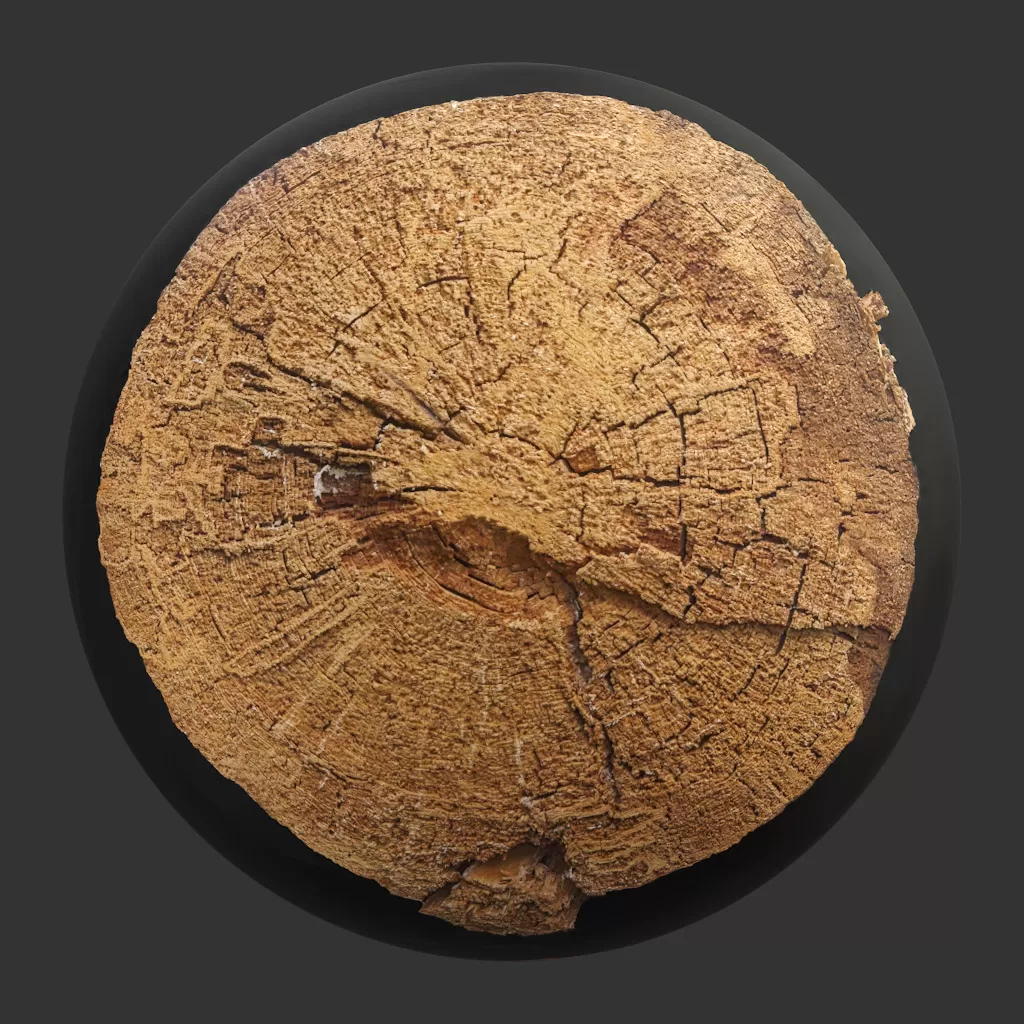 TEXTURES - WOOD - CGAxis PBR