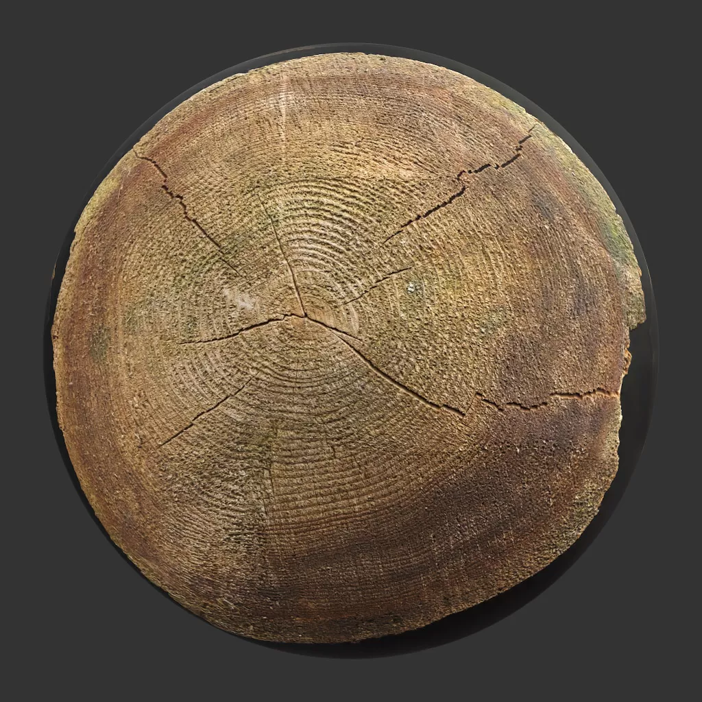 TEXTURES - WOOD - CGAxis PBR