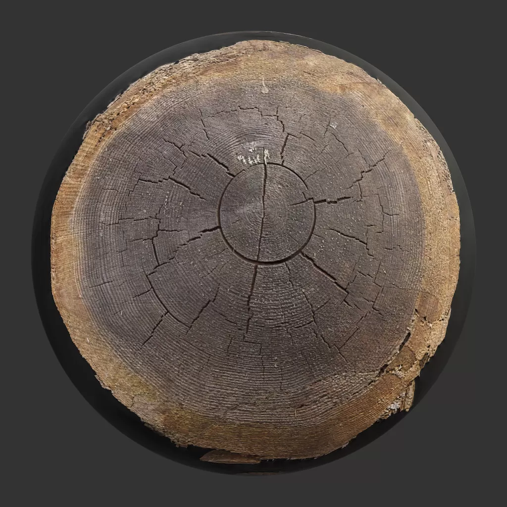 TEXTURES - WOOD - CGAxis PBR