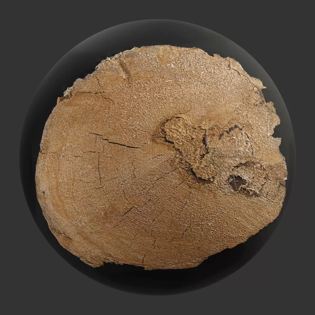 TEXTURES - WOOD - CGAxis PBR