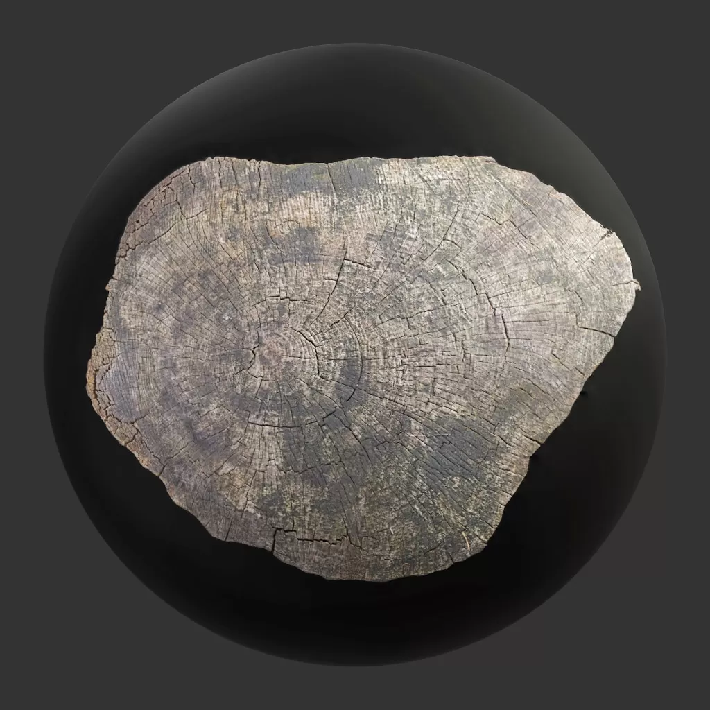 TEXTURES - WOOD - CGAxis PBR