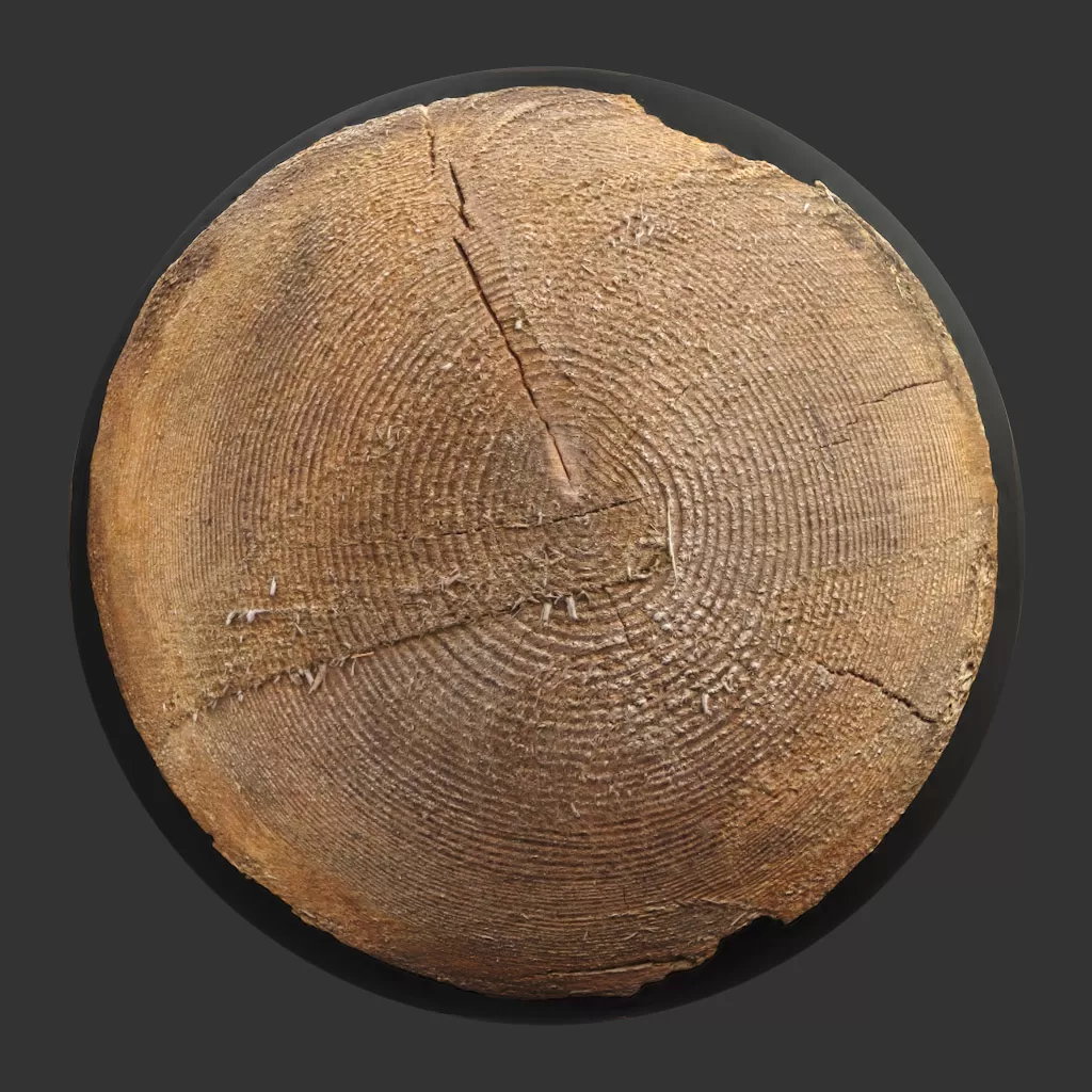 TEXTURES - WOOD - CGAxis PBR