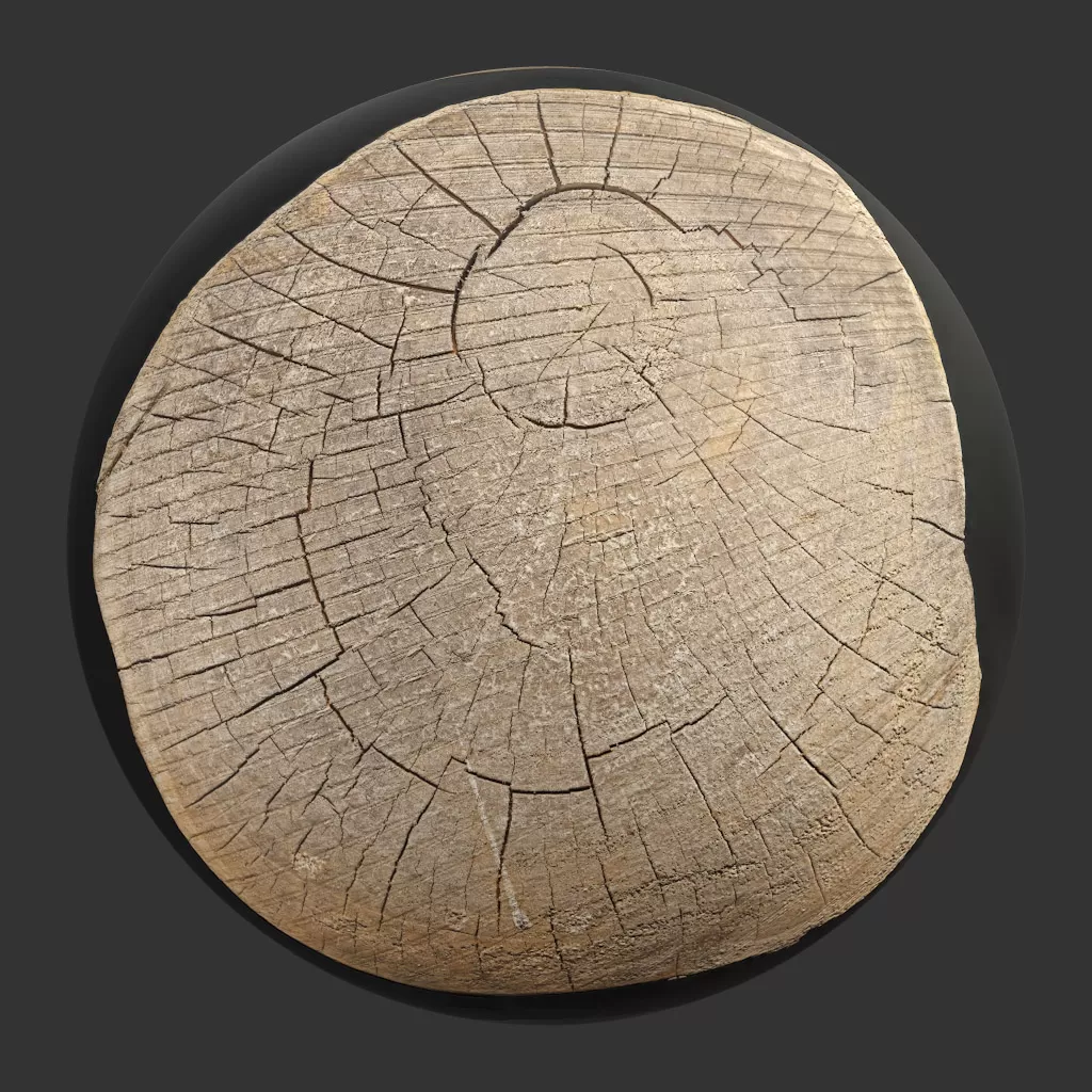 TEXTURES - WOOD - CGAxis PBR