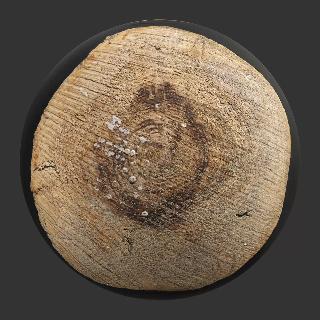 TEXTURES - WOOD - CGAxis PBR
