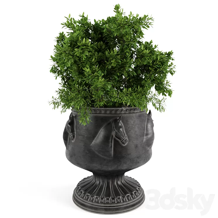 The bush in a flowerpot 3D Model
