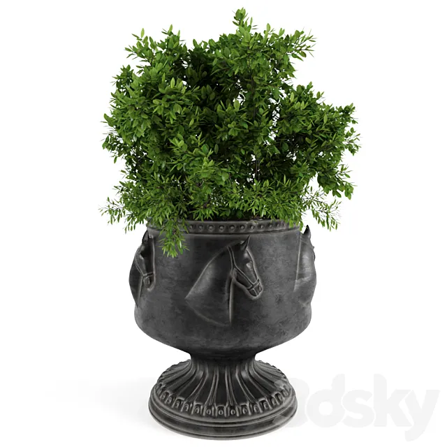 The bush in a flowerpot 3DModel