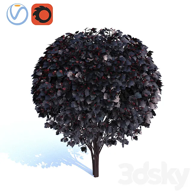 The bust of the vesicle (Diablo) is the sphere. 3DModel