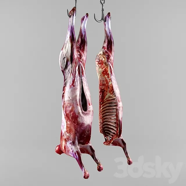 the carcass of an animal Free Download