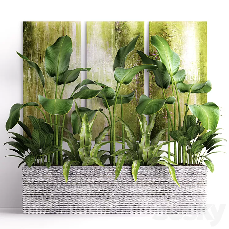 The collection of plants in pots 16. green painting calathea lutea asplenium bushes pot flowerpot concrete 3D Model